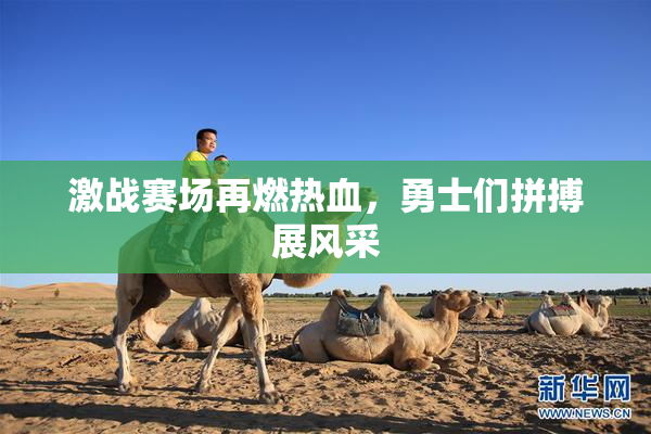 激战赛场再燃热血，勇士们拼搏展风采
