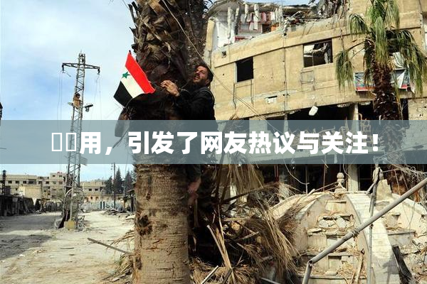 妺妺用，引发了网友热议与关注！