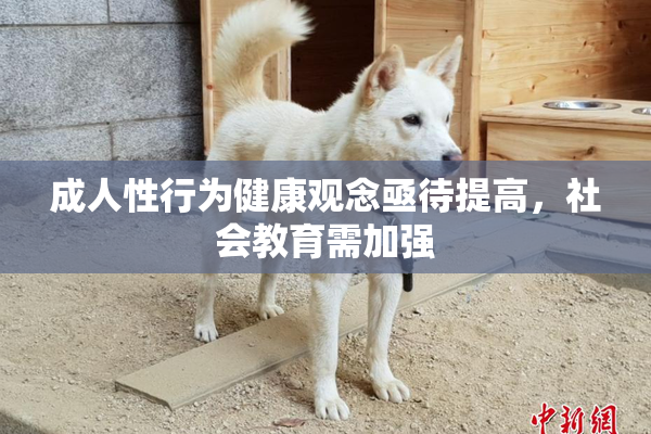 成人性行为健康观念亟待提高，社会教育需加强