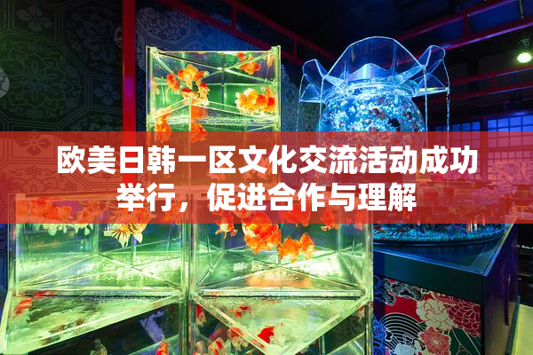 欧美日韩一区文化交流活动成功举行，促进合作与理解