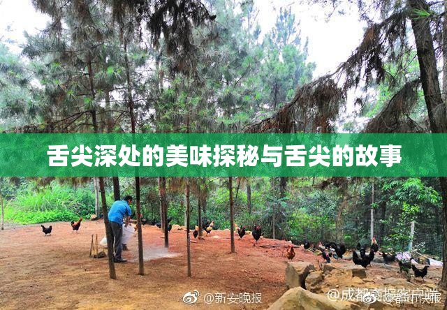 舌尖深处的美味探秘与舌尖的故事