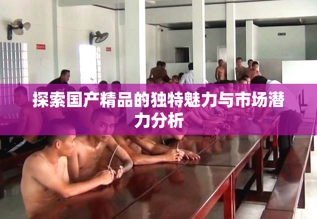 探索国产精品的独特魅力与市场潜力分析