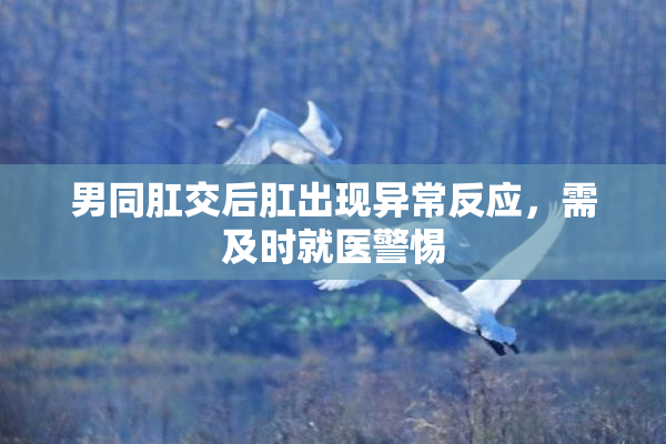 男同肛交后肛出现异常反应，需及时就医警惕