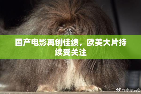 国产电影再创佳绩，欧美大片持续受关注