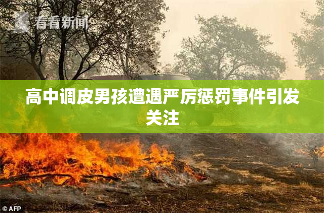 高中调皮男孩遭遇严厉惩罚事件引发关注