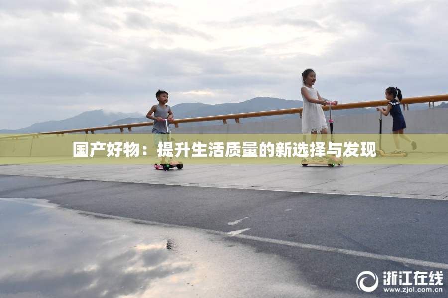 国产好物：提升生活质量的新选择与发现