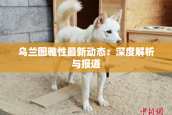 乌兰图雅性最新动态：深度解析与报道