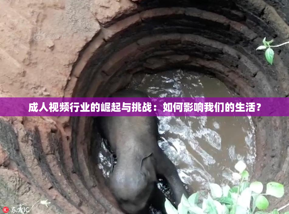 成人视频行业的崛起与挑战：如何影响我们的生活？