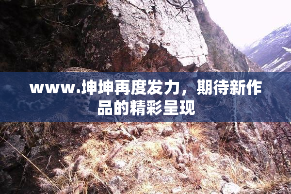 www.坤坤再度发力，期待新作品的精彩呈现