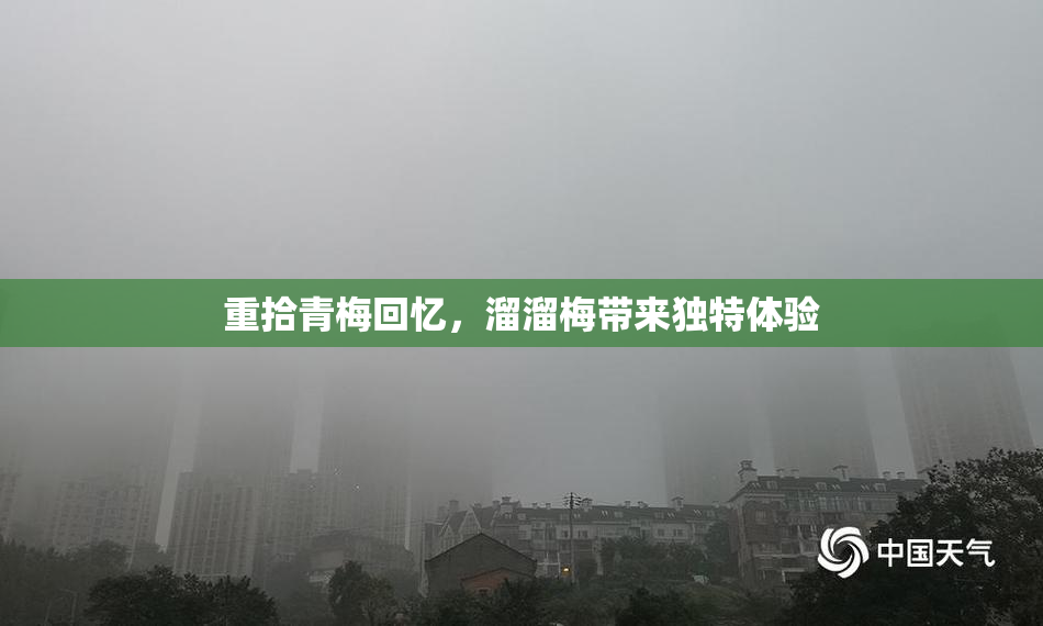 重拾青梅回忆，溜溜梅带来独特体验