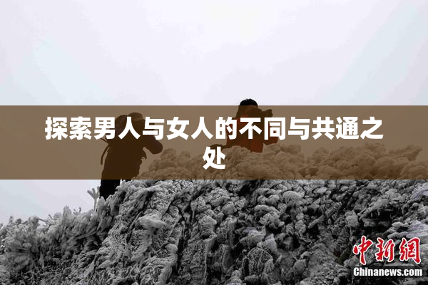 探索男人与女人的不同与共通之处