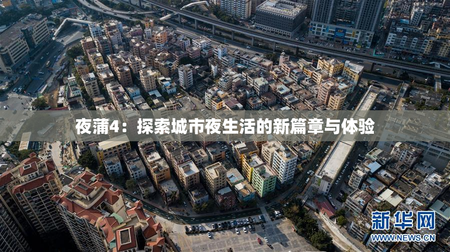 夜蒲4：探索城市夜生活的新篇章与体验