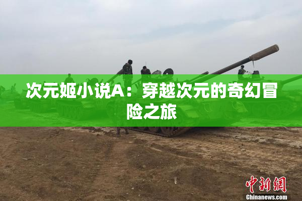 次元姬小说A：穿越次元的奇幻冒险之旅