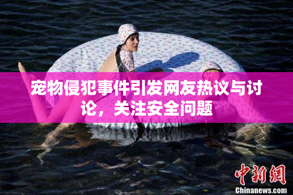 宠物侵犯事件引发网友热议与讨论，关注安全问题