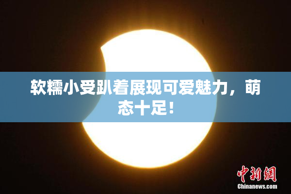 软糯小受趴着展现可爱魅力，萌态十足！