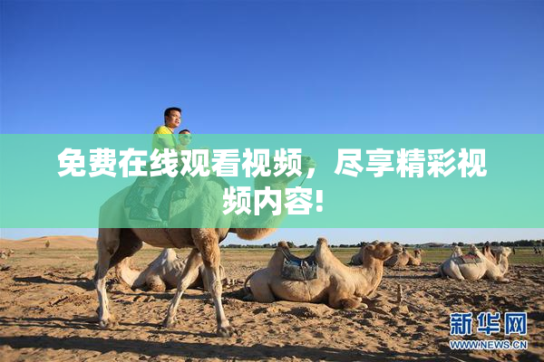 免费在线观看视频，尽享精彩视频内容!