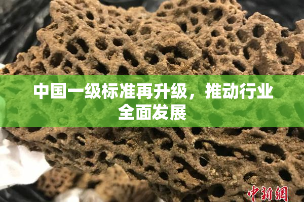 中国一级标准再升级，推动行业全面发展
