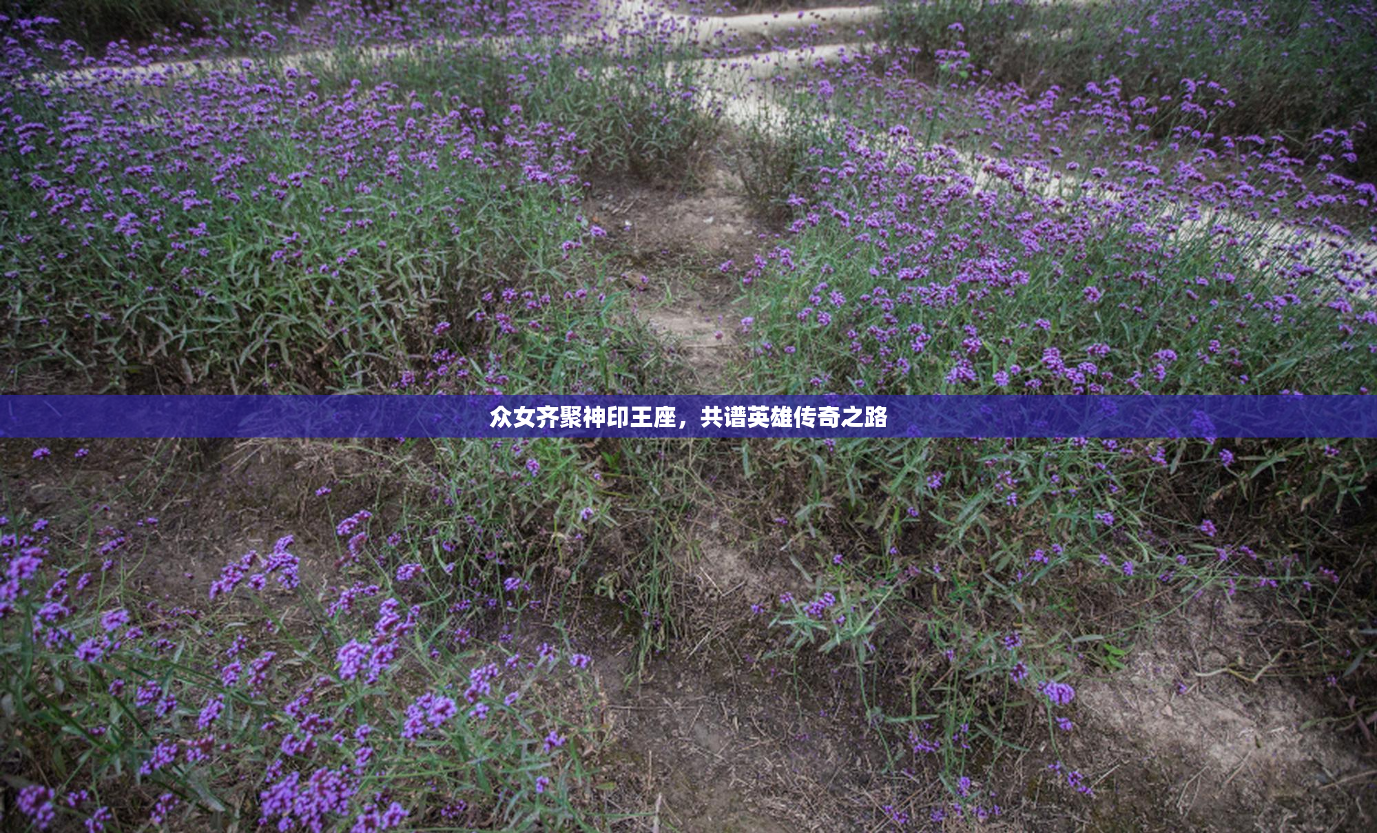 众女齐聚神印王座，共谱英雄传奇之路