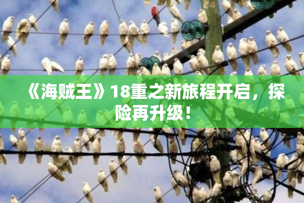《海贼王》18重之新旅程开启，探险再升级！