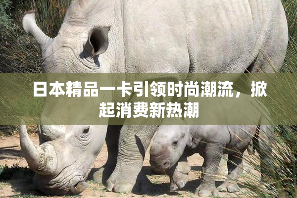 日本精品一卡引领时尚潮流，掀起消费新热潮