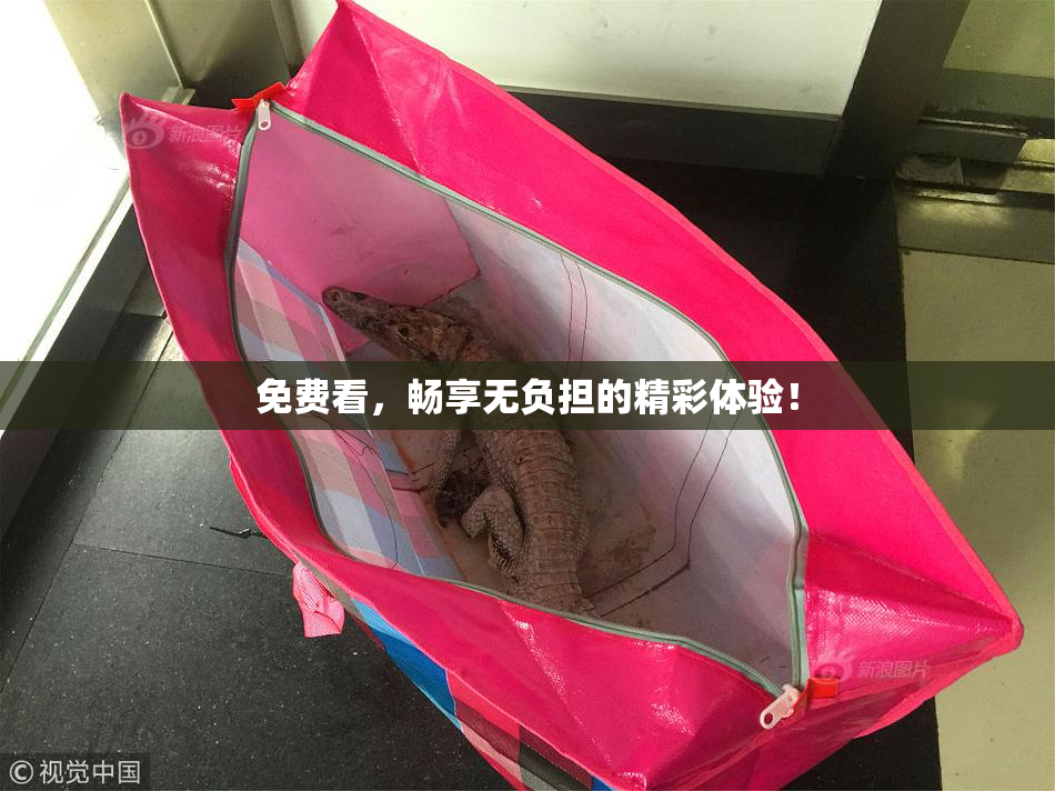 免费看，畅享无负担的精彩体验！