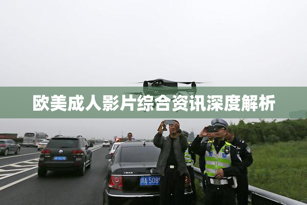 欧美成人影片综合资讯深度解析