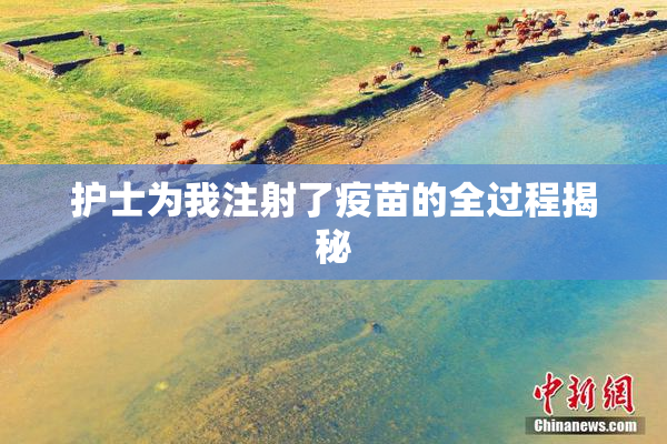 护士为我注射了疫苗的全过程揭秘