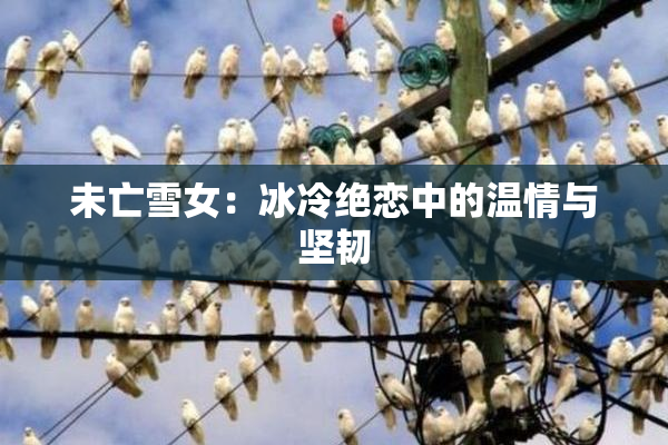 未亡雪女：冰冷绝恋中的温情与坚韧