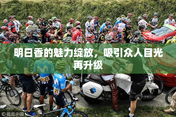 明日香的魅力绽放，吸引众人目光再升级