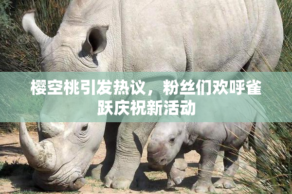 樱空桃引发热议，粉丝们欢呼雀跃庆祝新活动