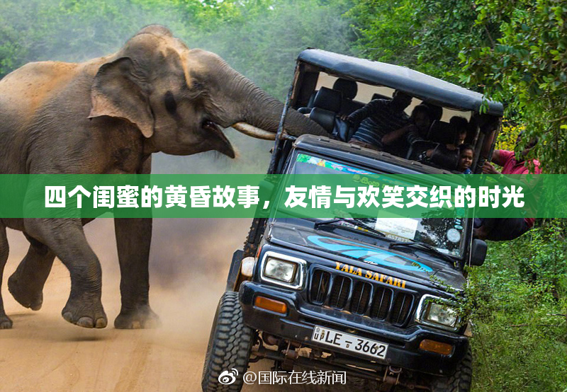 四个闺蜜的黄昏故事，友情与欢笑交织的时光