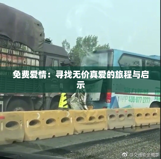 免费爱情：寻找无价真爱的旅程与启示
