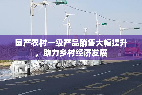 国产农村一级产品销售大幅提升，助力乡村经济发展