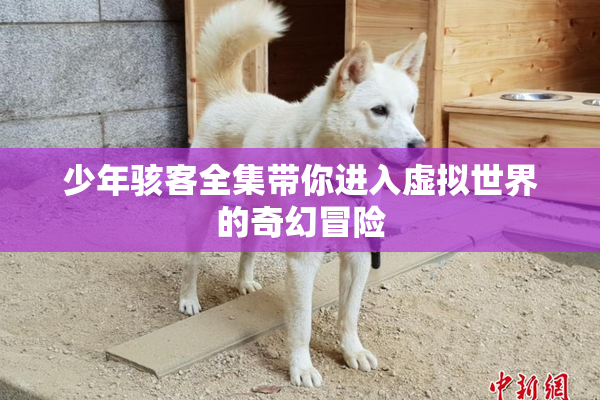 少年骇客全集带你进入虚拟世界的奇幻冒险