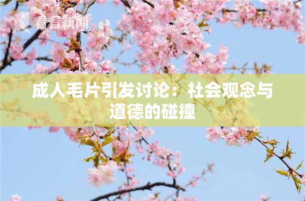 成人毛片引发讨论：社会观念与道德的碰撞