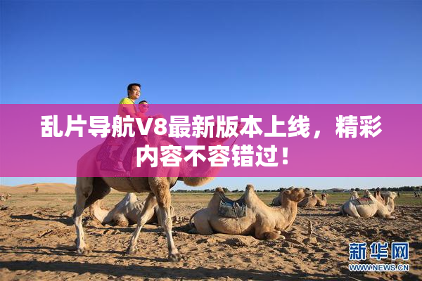 乱片导航V8最新版本上线，精彩内容不容错过！