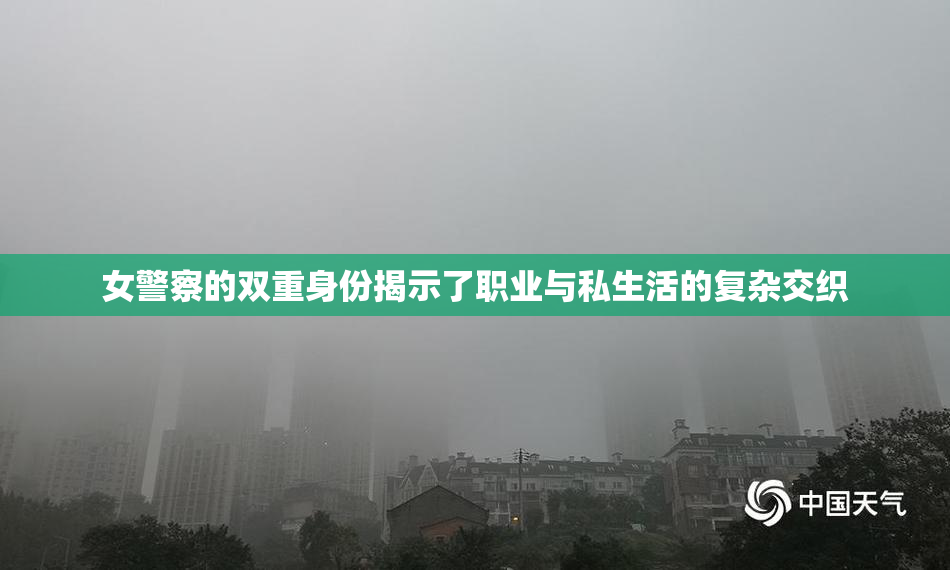 女警察的双重身份揭示了职业与私生活的复杂交织