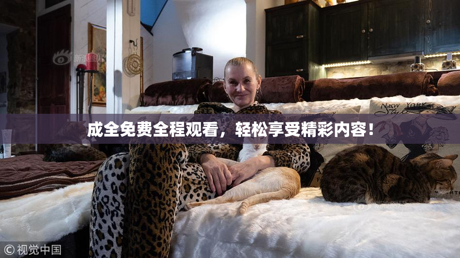 成全免费全程观看，轻松享受精彩内容！