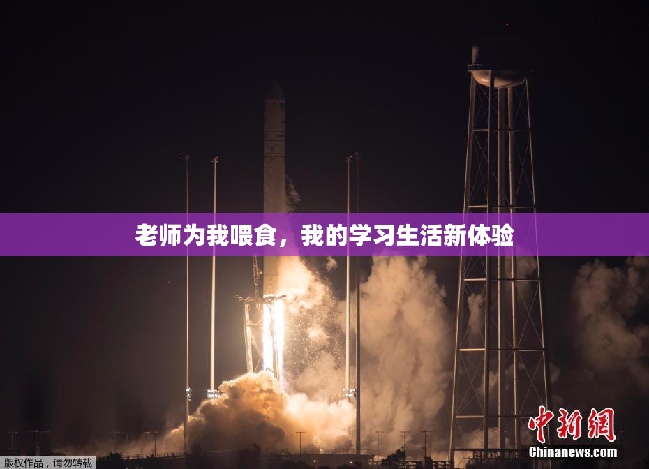 老师为我喂食，我的学习生活新体验