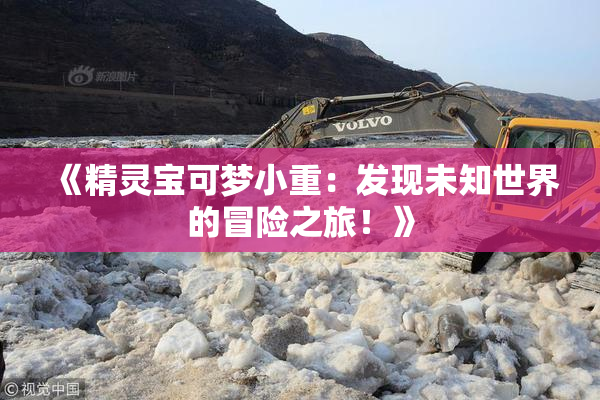 《精灵宝可梦小重：发现未知世界的冒险之旅！》