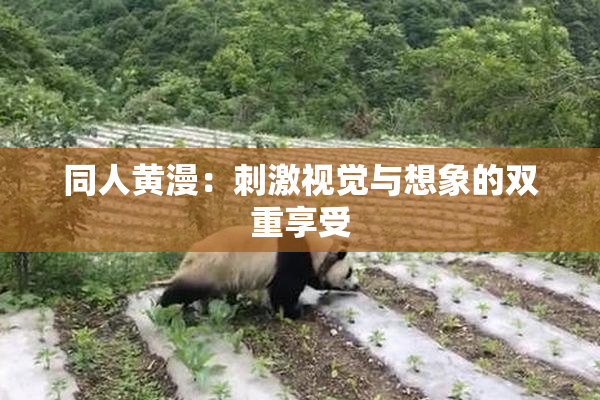 同人黄漫：刺激视觉与想象的双重享受