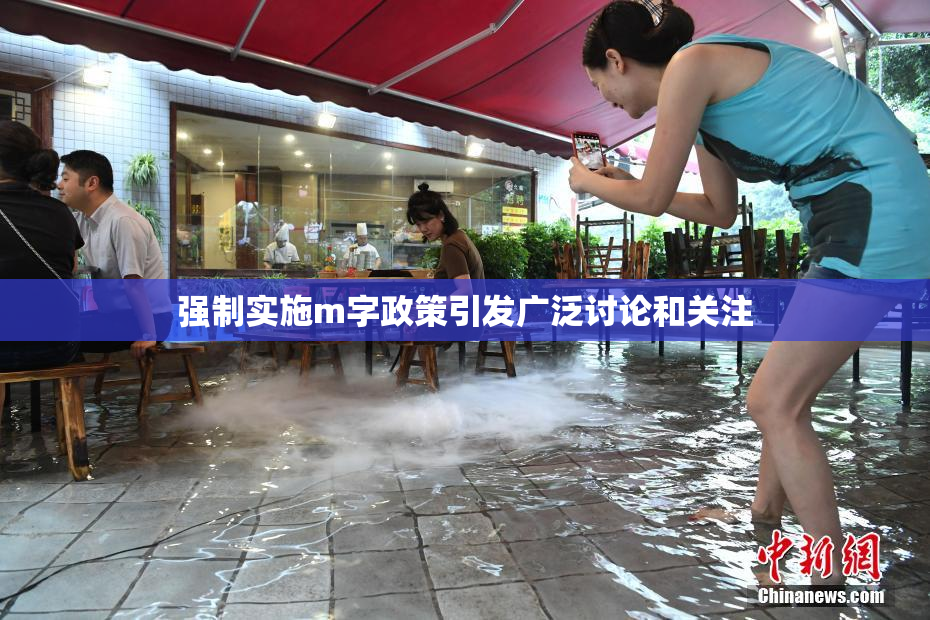 强制实施m字政策引发广泛讨论和关注