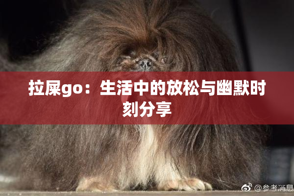 拉屎go：生活中的放松与幽默时刻分享