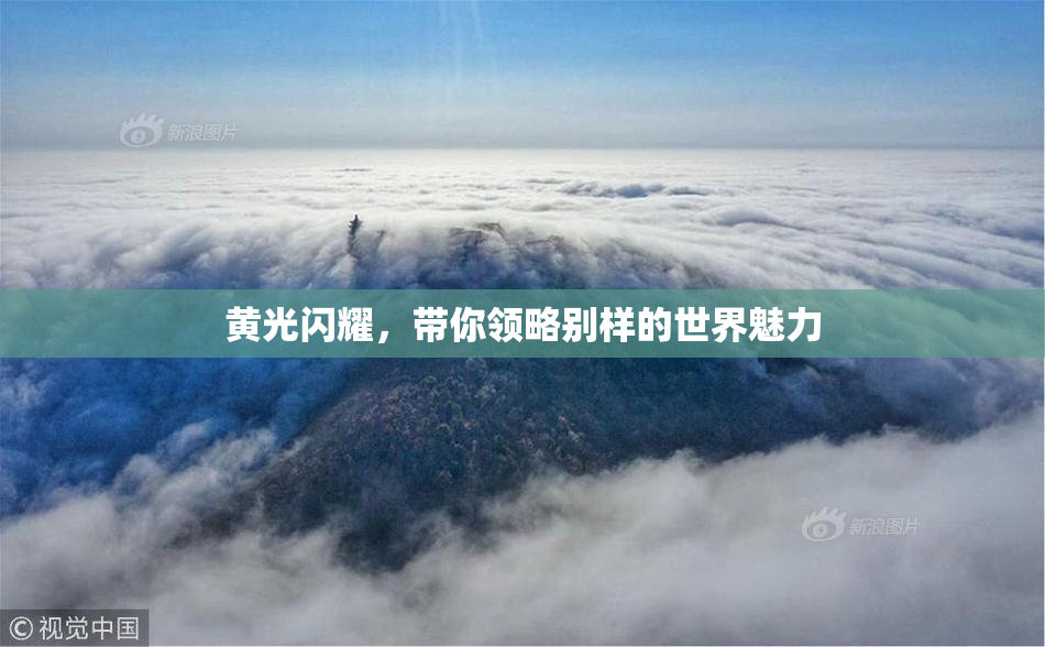 黄光闪耀，带你领略别样的世界魅力