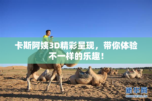 卡斯阿姨3D精彩呈现，带你体验不一样的乐趣！
