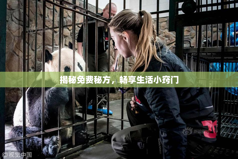 揭秘免费秘方，畅享生活小窍门