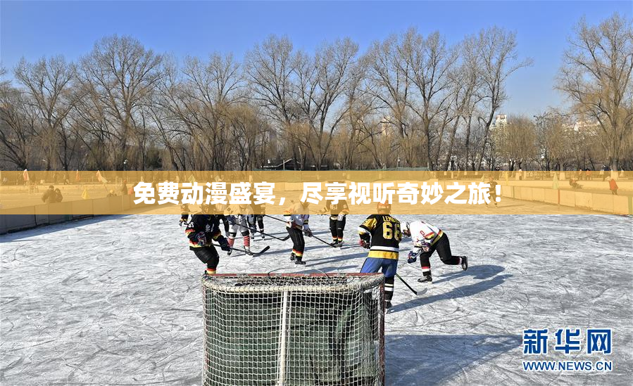免费动漫盛宴，尽享视听奇妙之旅！