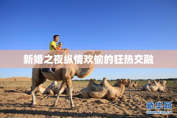 新婚之夜纵情欢愉的狂热交融