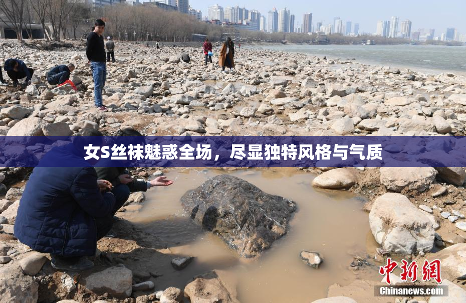 女S丝袜魅惑全场，尽显独特风格与气质