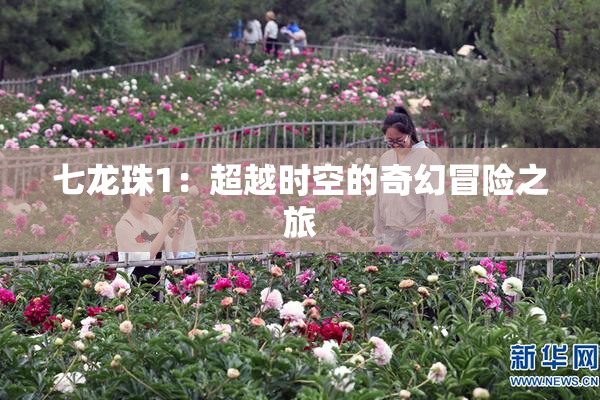 七龙珠1：超越时空的奇幻冒险之旅